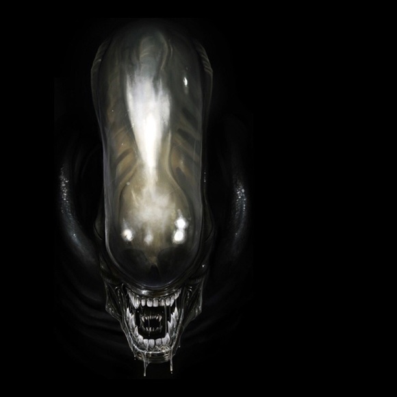 Meet your Posher, Victor - Picture 1 of 1